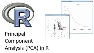 Principal Component Analysis (PCA) in R