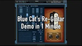 Blue Cat's Re-Guitar Demo in 1 Minute