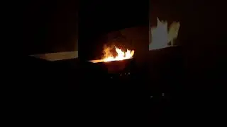 Выбрался повыживать в дичайшую природу! (отрывок из 1-й части)
