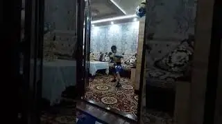 будиши чемпион