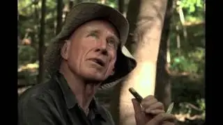 il sale della terra