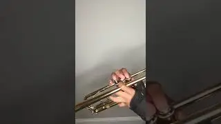 Guantanamera Bigginer Trumpet