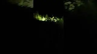 Penampakan Hantu Di Sawah