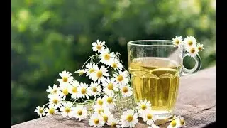 Natuurlijke en nuttige remedies met kamille