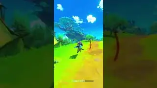 #genshinimpact