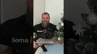 От всей команды SomaLong поздравляем с приближающимся новым годом!🎄 #Shorts