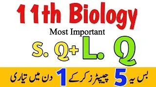 11th Biology Guess 2024|Biology imp Short Long Questions|1st year Biology Paper Scheme-Punjab Boards