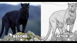 Come trasformare un immagine in fumetto con Photoshop