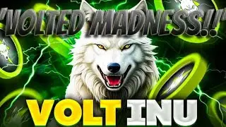 VOLTINU has done something absolutely SHOCKING!This could be it!! TIME IS RUNNING OUT!!!😱😱 