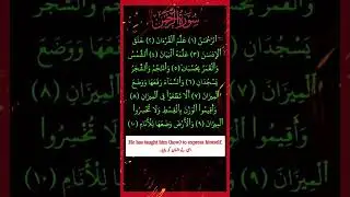 Surah Rahman #quran #shorts