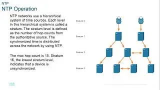 Cisco CCNA 7.0 ENSA module 10 network management  2021SP