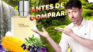 Terre D'Hermès Eau Givrée EDP Merece La Pena En 2024?