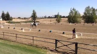 Hailey and Whisper Championships