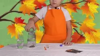 Jarra Sensorial - Aprendiendo con Isaías