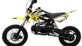Tao Motor Hot Sales DB14 YELLOW Chinese Pit Bike 110cc with CE ECE
