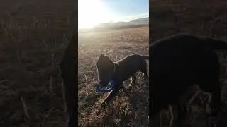 Выехали в поле