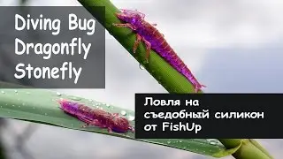FishUp Lures. Diving Bug 2