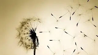Classic Instrumental Beat - Say Goodbye