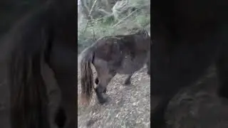 Praca na wsi.