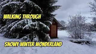WALKING Through a MAGICAL Snowy Winter Wonderland