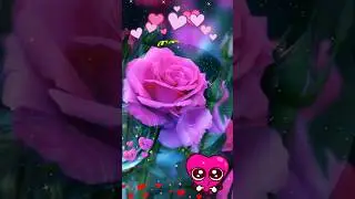 🎊🌹FELIZ DIA🌹💖HERMANA🌺#díadelasmadres #10demayo #mothersday #viralvideo #mama #mom #viralvideo #viral