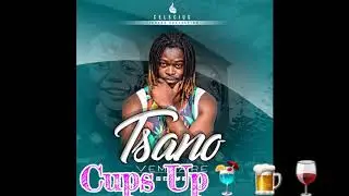 Celscius-Cups Up(Artwork Video)