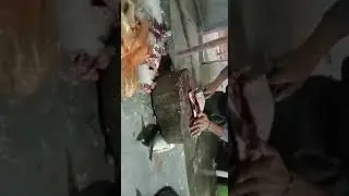 Fish Cutting skills