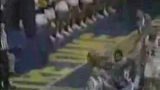 Rasheed Me-Rasheed Wallace UNC Dunk Reel