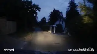 Vaddisznó
