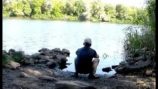 Ураган упал в лесу