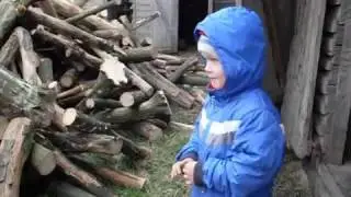 Дрова. Село. Откуда дровишки?