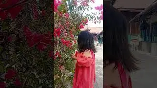 panen bunga warna warni #short #shorts #viralvideo #funny #shortvideo