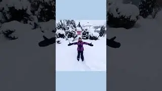 Новогодняя зима.