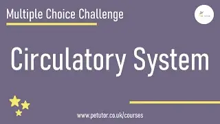 GCSE PE: Multiple Choice Challenge - Structure of arteries
