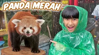 Ke Taman Safari Part 2 - Superduper Ziyan