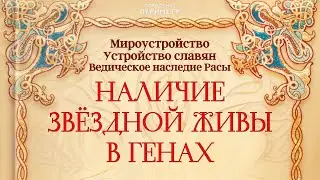 Наличие звёздной живы в генах #жива #славяне #периметр #школасорадение