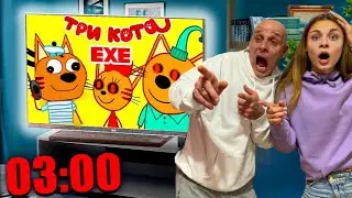 ТРИ КОТА и Skibidi toilet ГОНЯТСЯ ЗА НАМИ 😱😱😱😱 