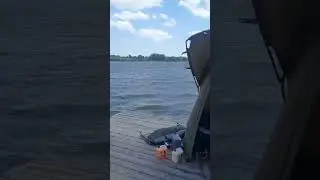 #карпфишинг #fishing #carpfishing #карповаяловля #рыбалка