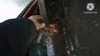 🔥КОПАЕМ ОБОЧИНЫ ДЕЛЯНОК 🔥