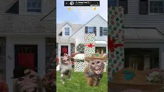 МИСТЕР БИБИЗЯН 😎💸🔥 #challenge #comedy #funny #prank #mrbeast #rek #monkey #браток #omega #surprise