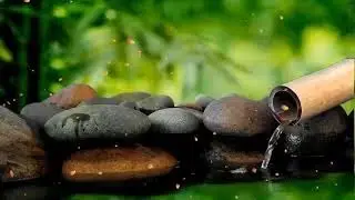 Intente Escuchar Durante 5 Minutos Te Quedarás Dormido Inmediatamente Con El Sonido Del Agua