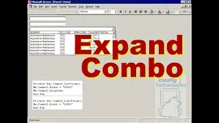 Expand and Contract ComboBox on Access Form ~ DataPig
