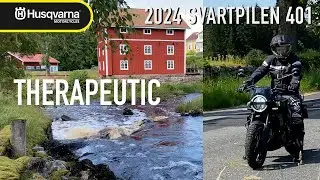 2024 Husqvarna Svartpilen 401 - Too Slow?