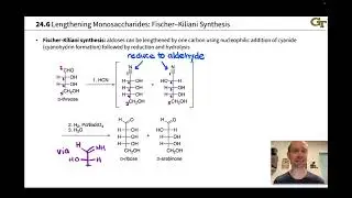 Fischer-Kiliani Synthesis and Wohl Degradation: Lengthening and Shortening Monosaccharides