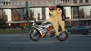 Petrol Price effect on nibba nibbi