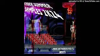 cyber summer samples 2k24 (prod why5 x hicyedexcited)
