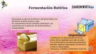 Fermentación Butírica- Analista en calidad de alimentos