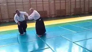 Aikido Taijutsu - Jaff Raji - Csopak 2015