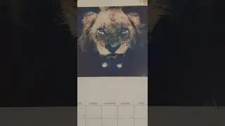 🇿🇦♥️