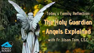 The Holy Guardian Angels Explained | Father Jilson Tom, C.S.C.